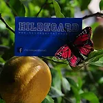Ξενοδοχείο Hildegard 3*