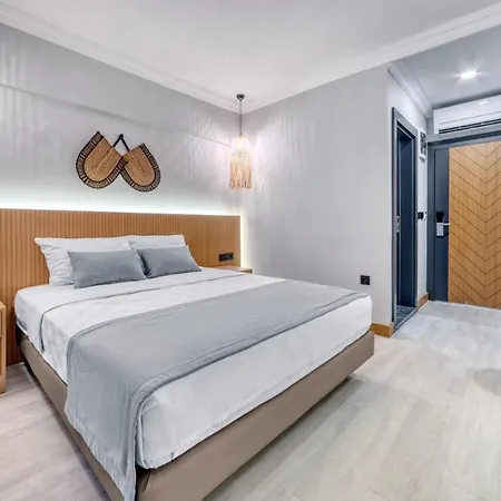 希尔德加德酒店 阿拉尼亚