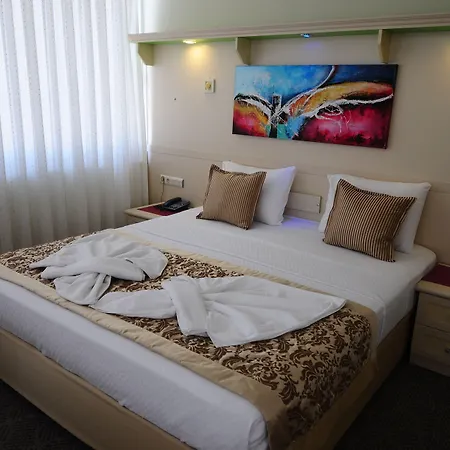 希尔德加德酒店 酒店 阿拉尼亚