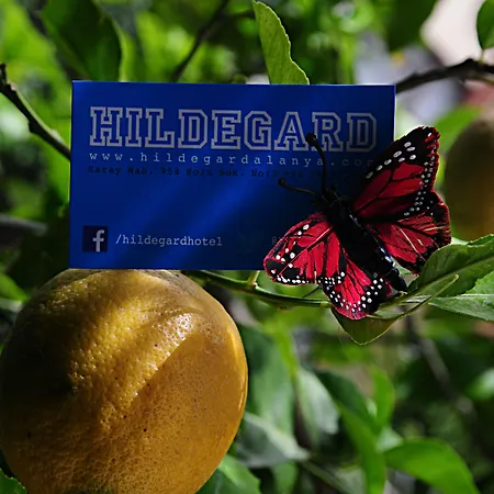 酒店 希尔德加德酒店 3*