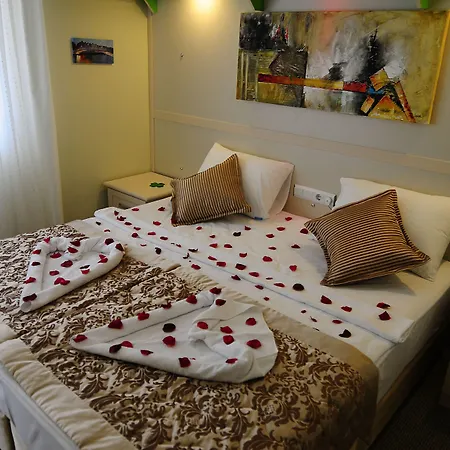 希尔德加德酒店 阿拉尼亚