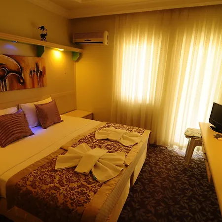 希尔德加德酒店 阿拉尼亚