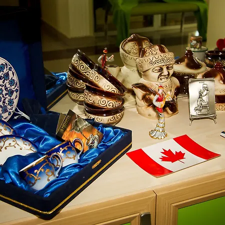 希尔德加德酒店 酒店