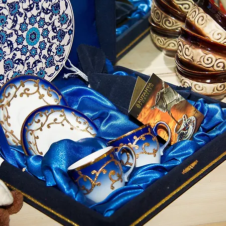 希尔德加德酒店 阿拉尼亚