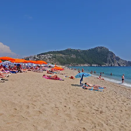 希尔德加德酒店 3* 阿拉尼亚